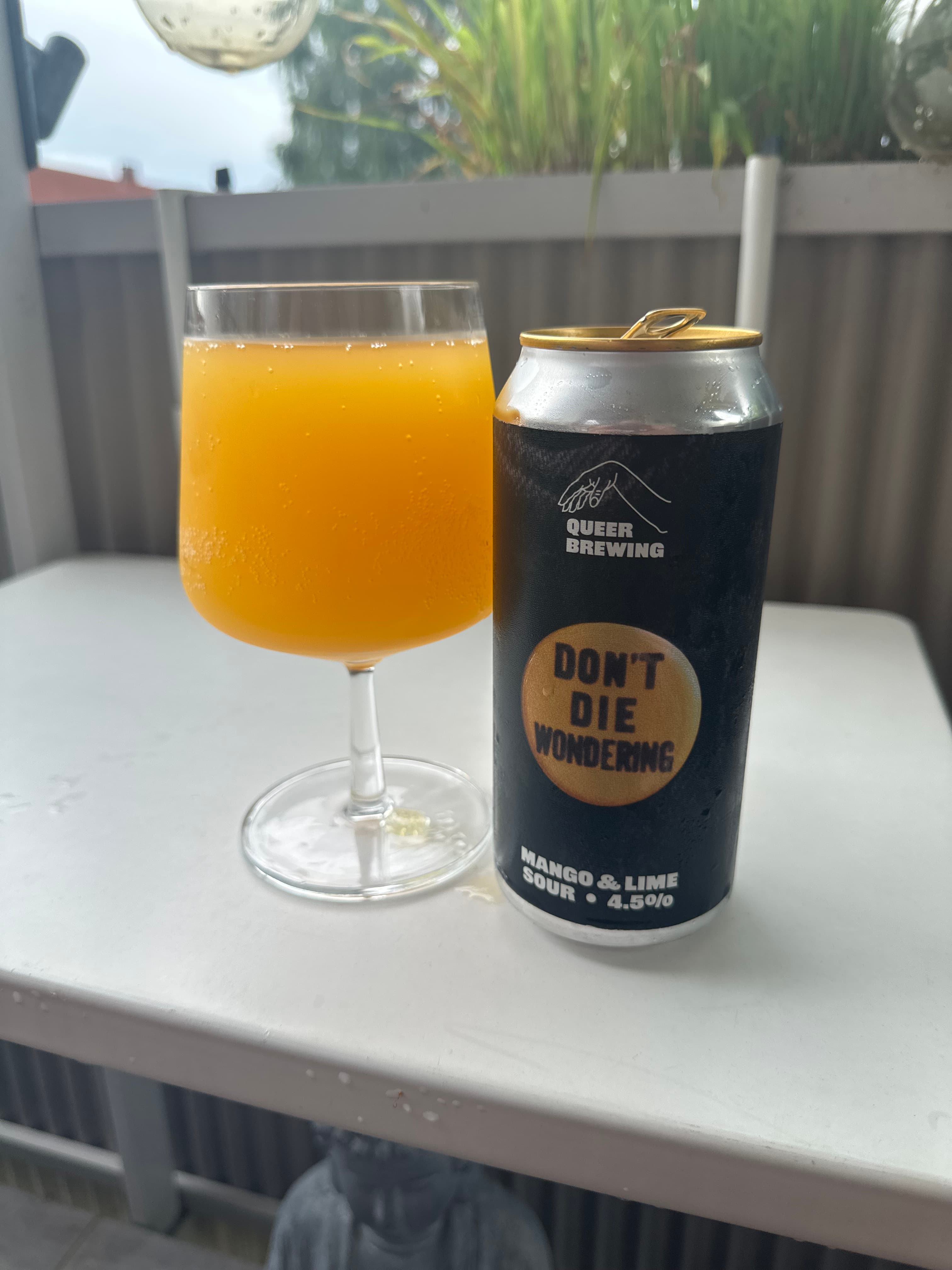 Don't Die Wondering by Queer Brewing, shared by @beer_i_have_tasted
