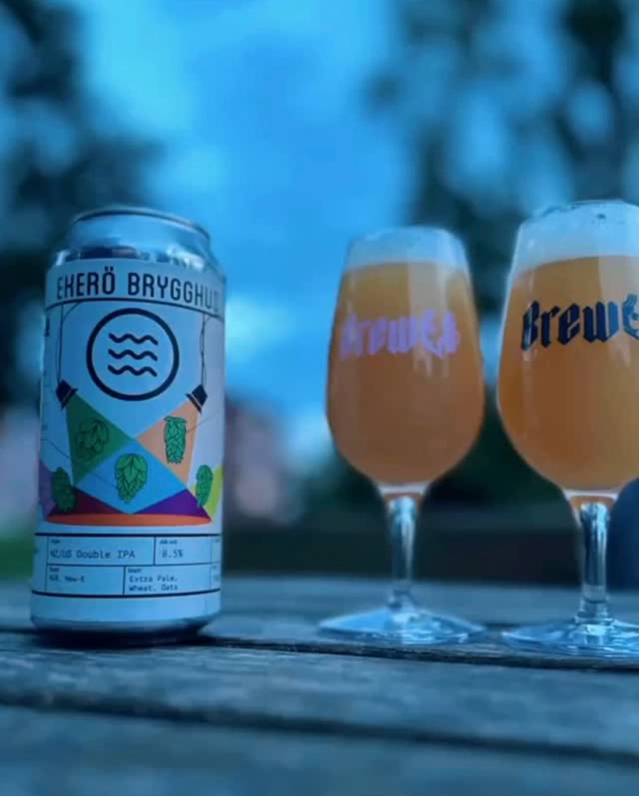 New Hops Double IPA from Ekerö Brygghus beer photo