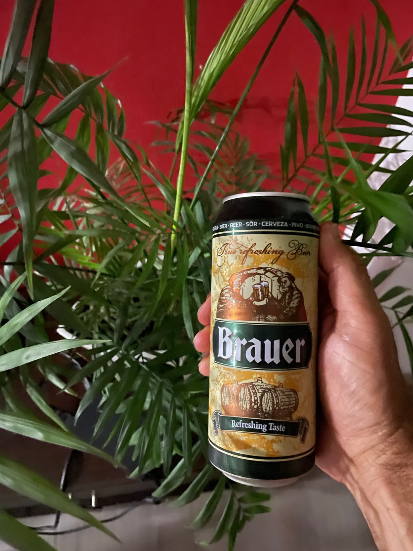Brauer, shared by @amazonrivertrip