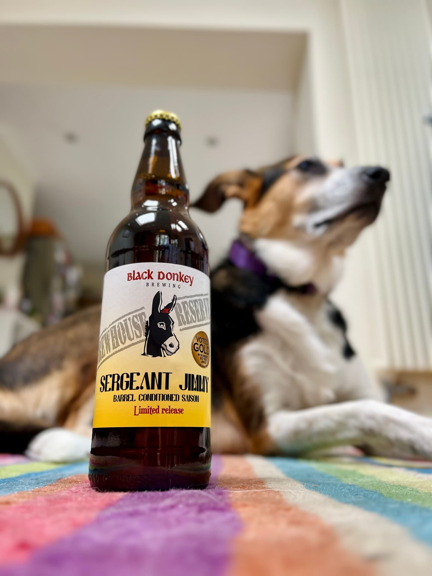 Sergeant Jimmy by blackdonkeybeer, shared by @unclaimed