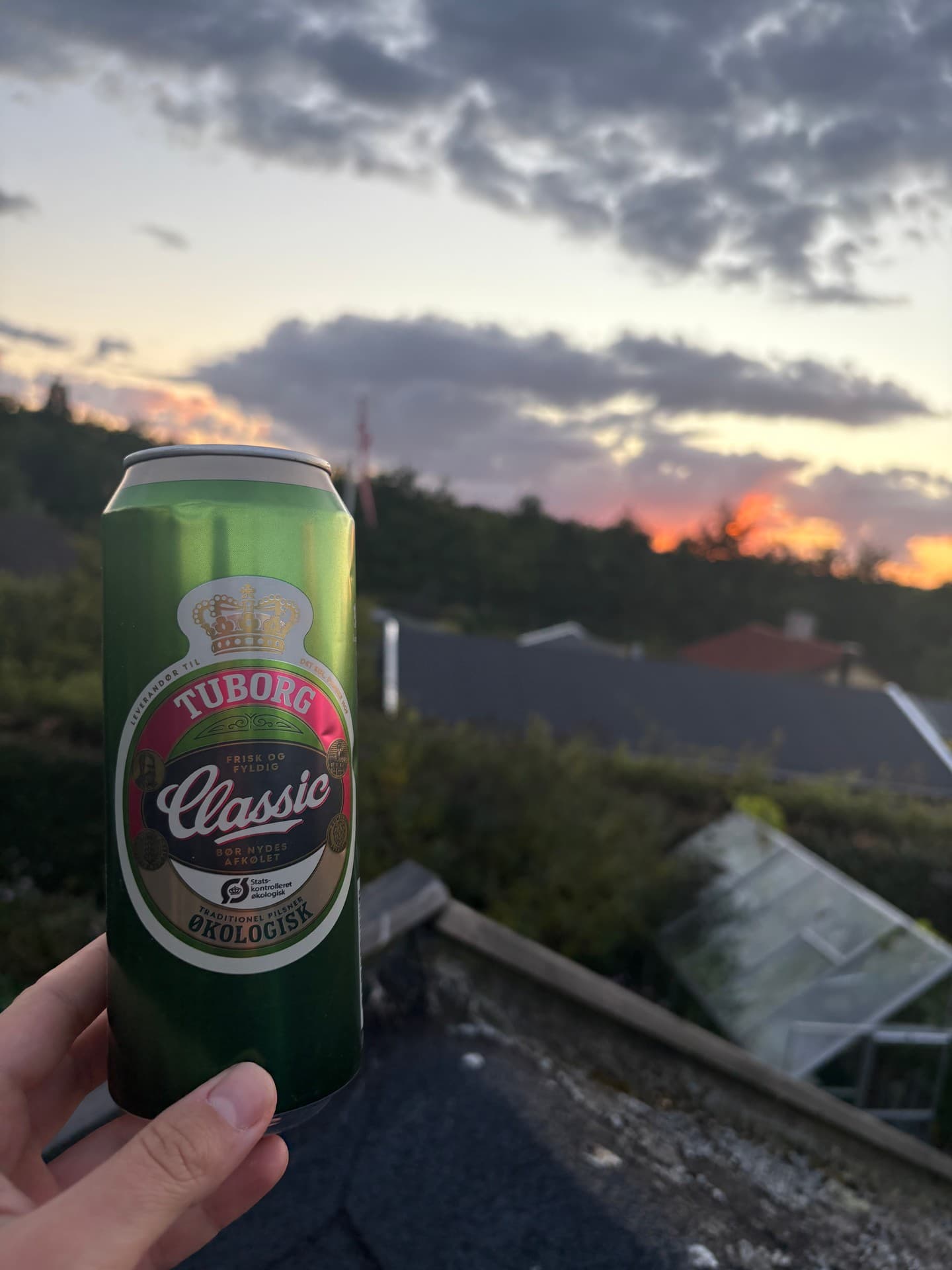 Tuborg Classic beer photo