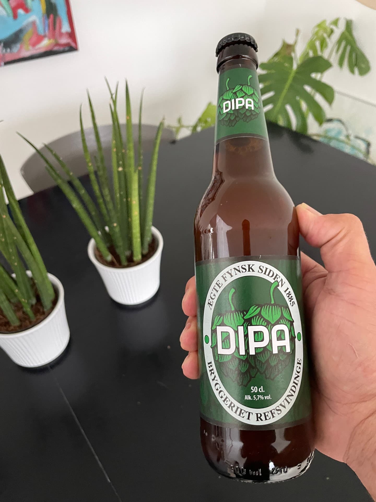 DIPA by Bryggeriet Refsvindinge, shared by @amazonrivertrip