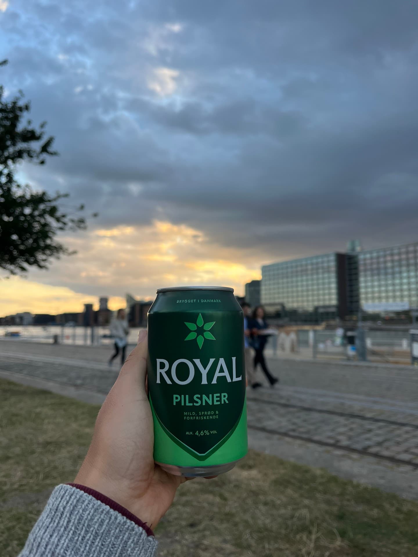 Royal Pilsner beer photo