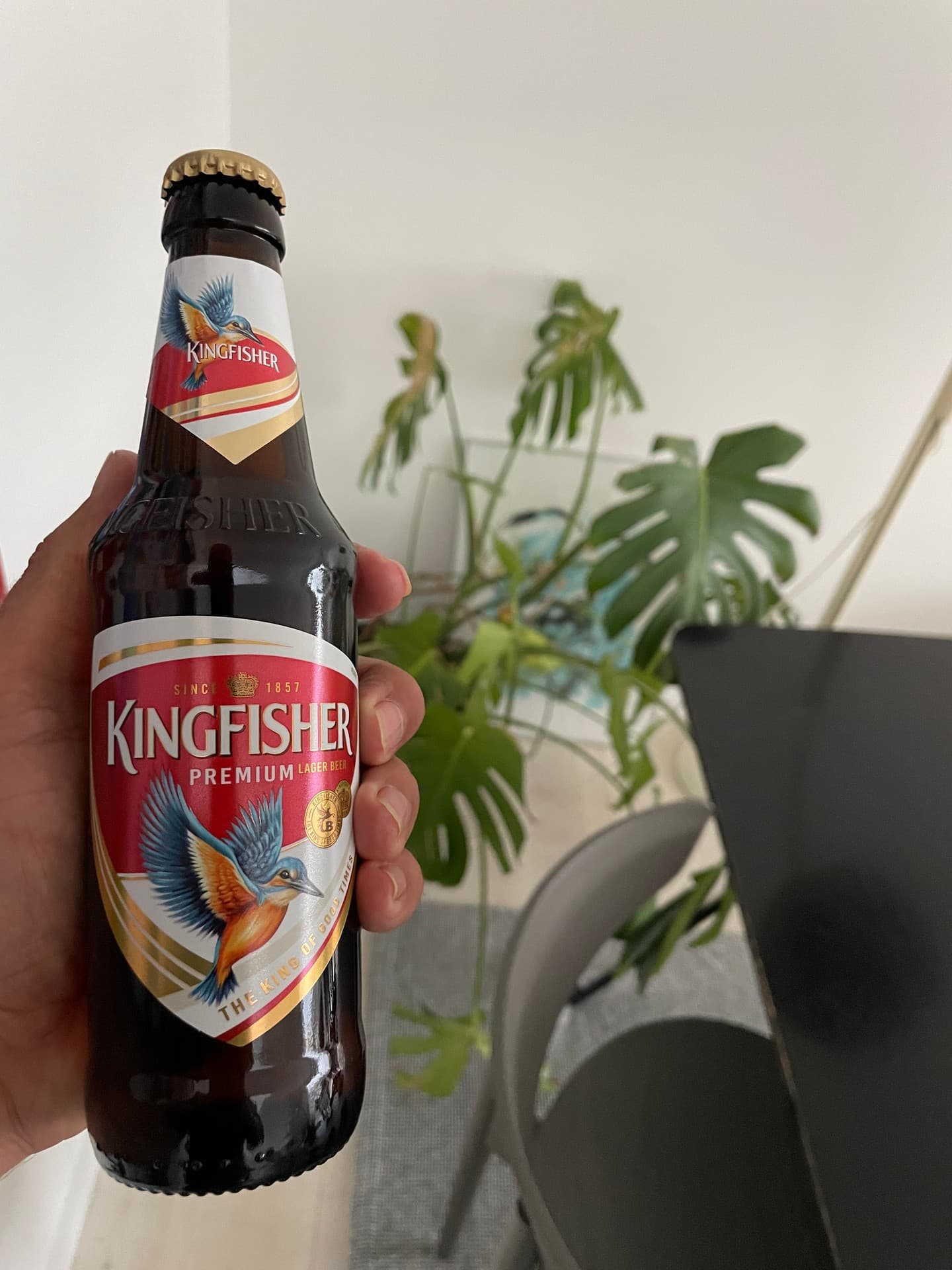 Kingfisher Premium Lager Beer, shared by @amazonrivertrip