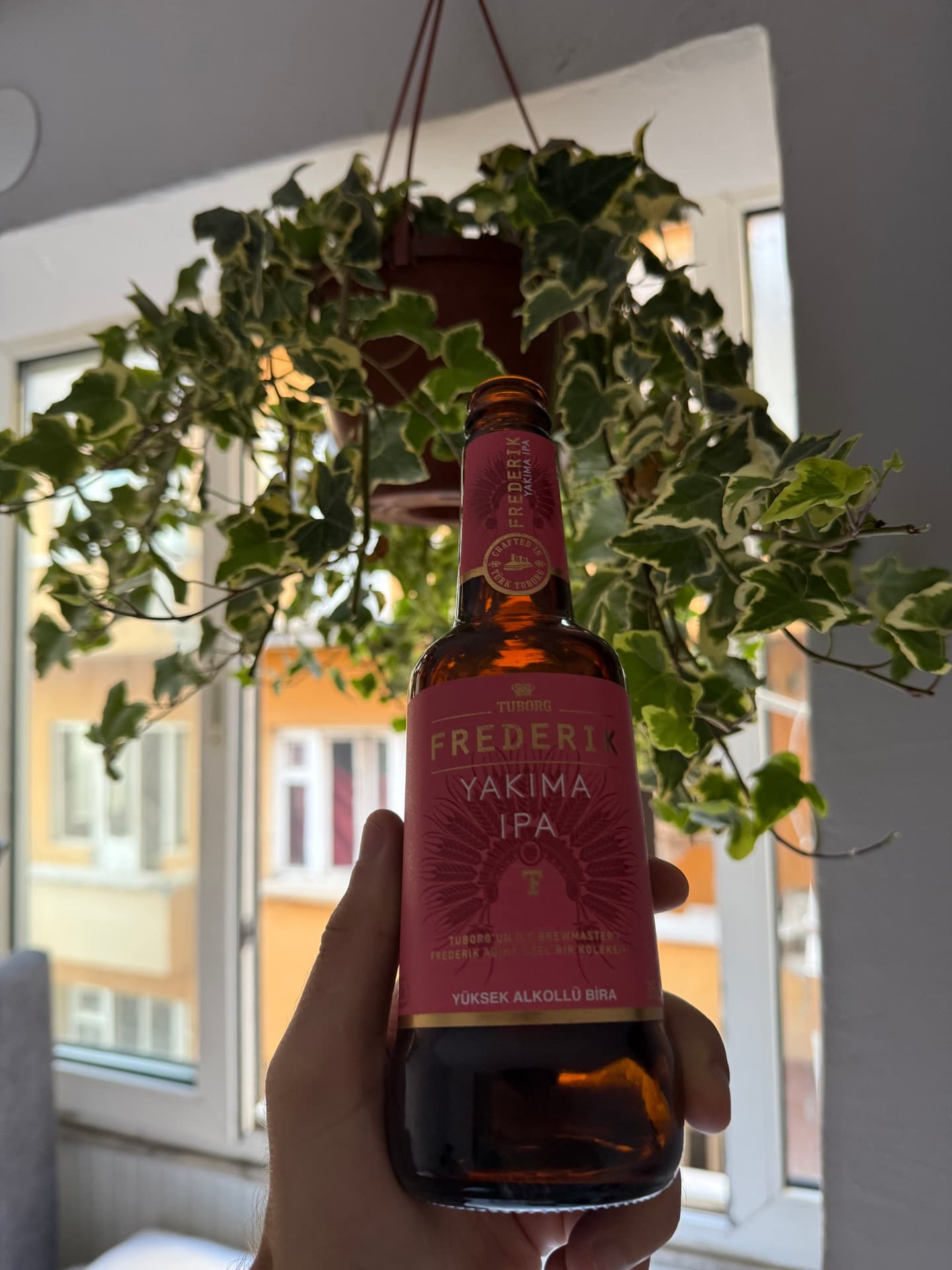 Tuborg Frederik Yakima IPA by Tuborg, shared by @andreaskromann