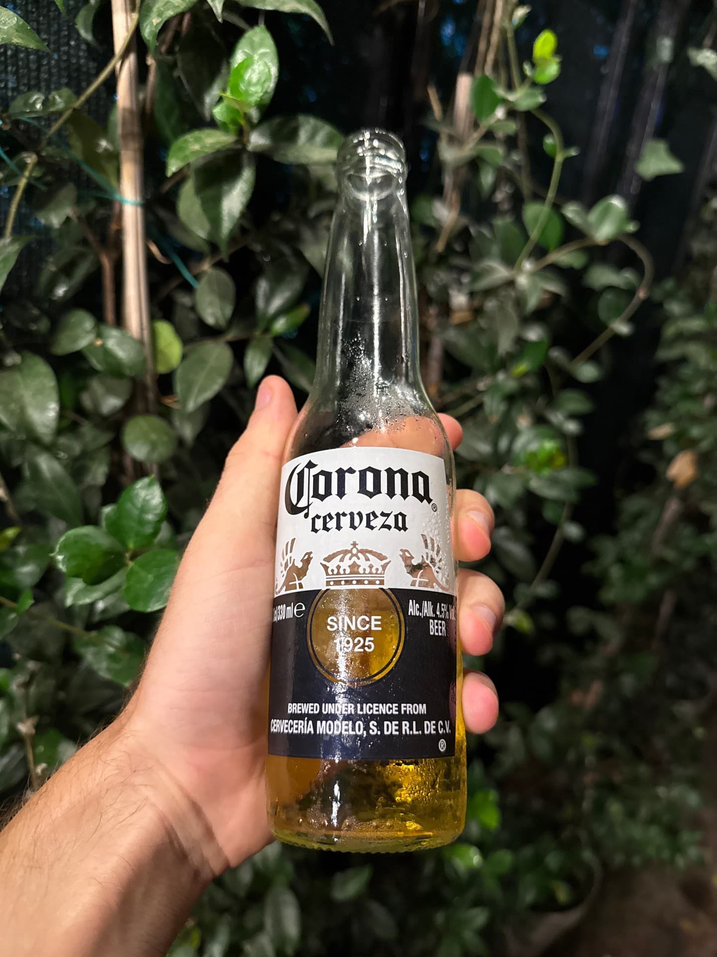 Corona Cerveza by Cervecería Modelo, shared by @andreaskromann