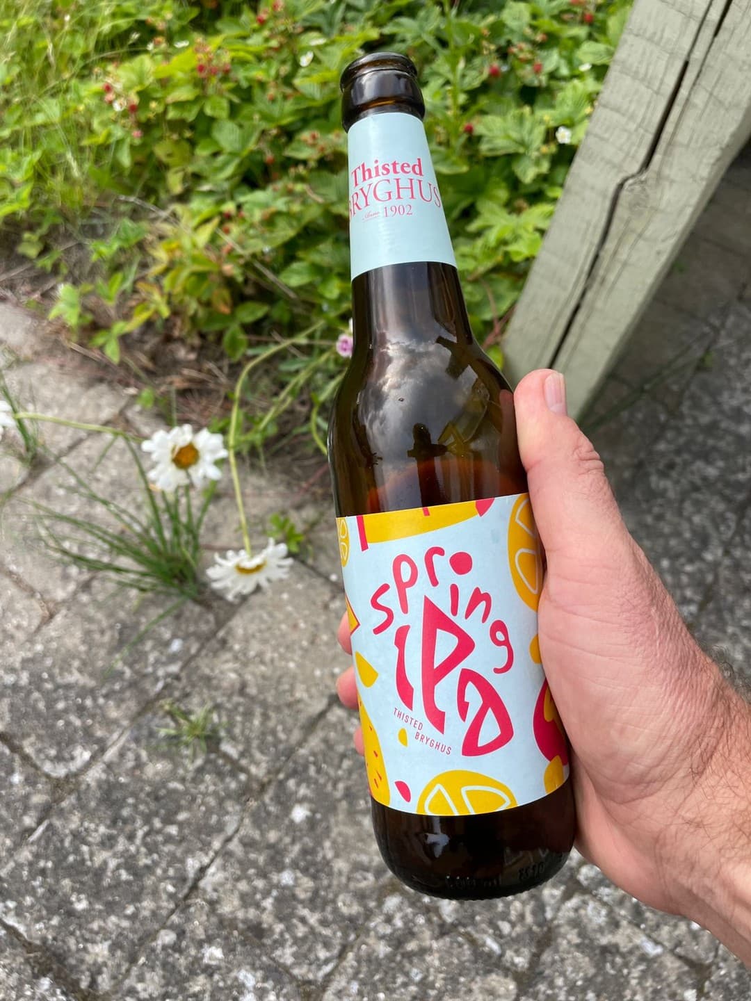 Spring IPA from Thisted Bryghus beer photo