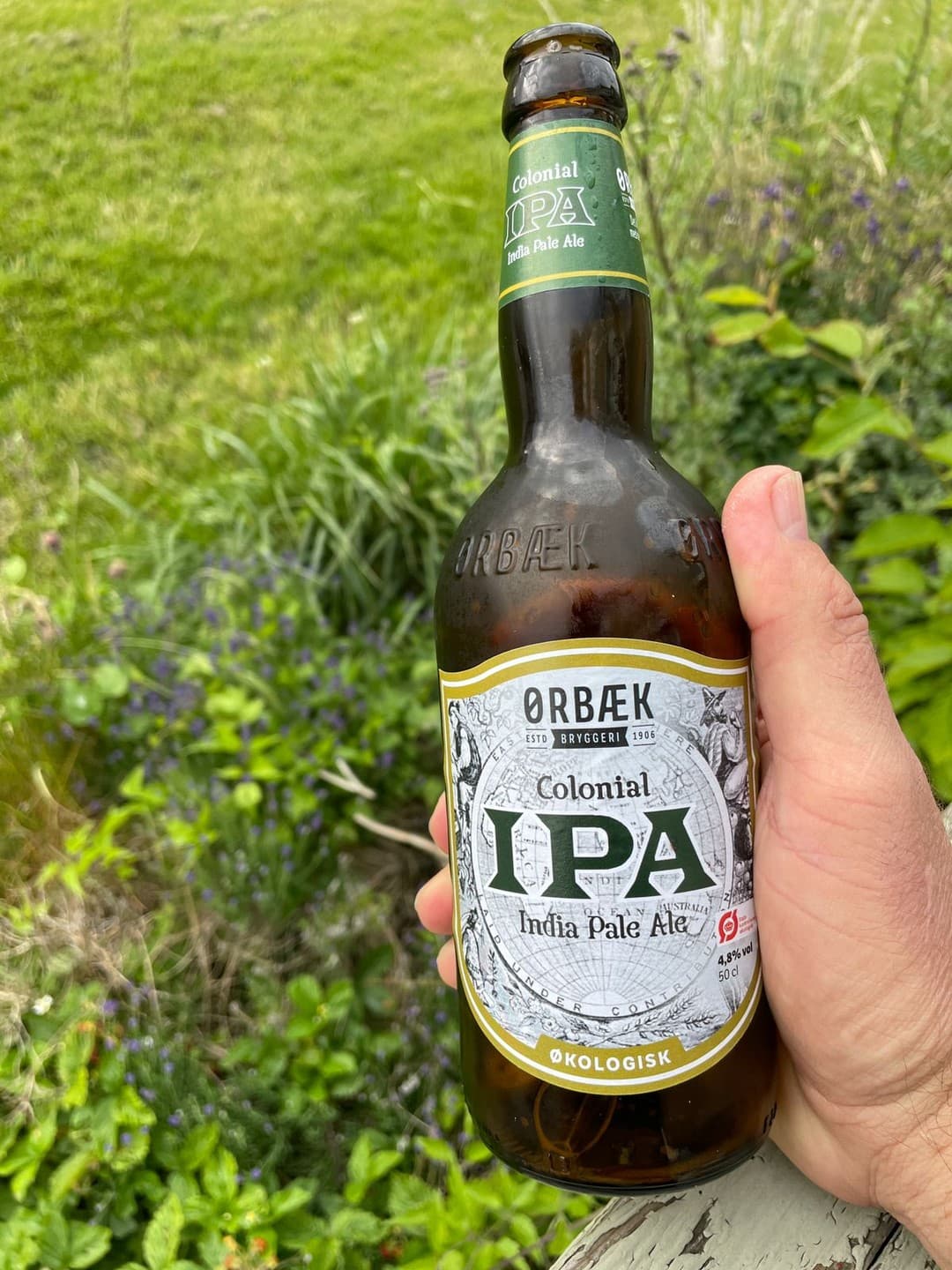 Ørbæk Colonial IPA from Ørbæk beer photo
