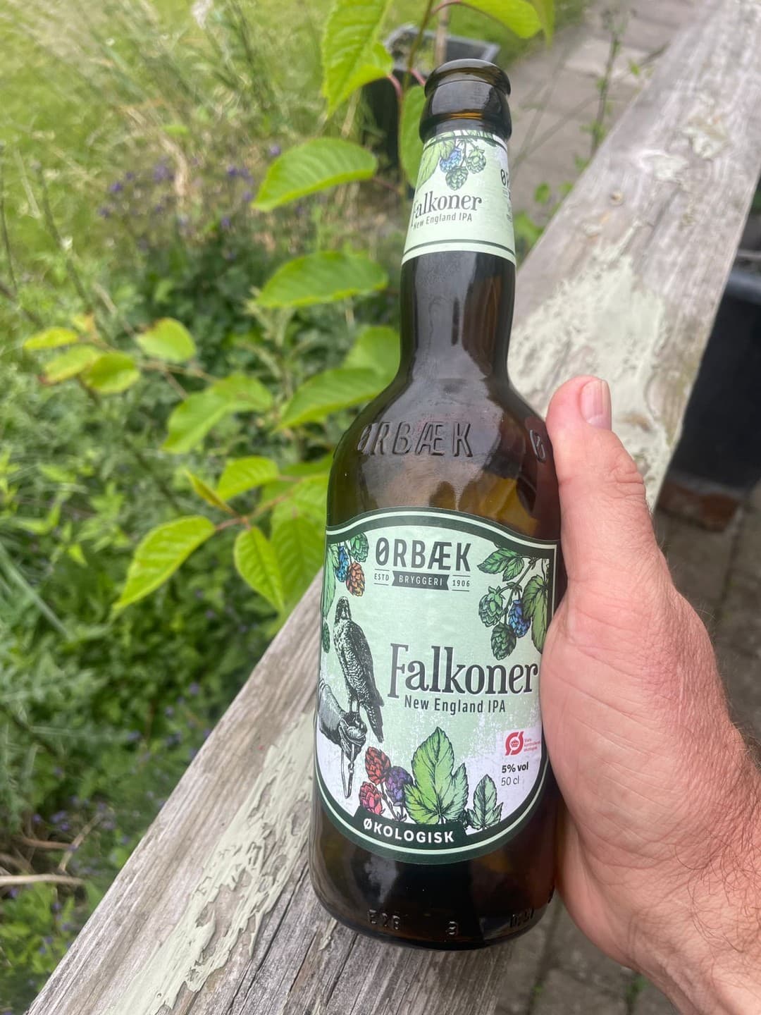 Ørbæk Falkoner from Ørbæk beer photo