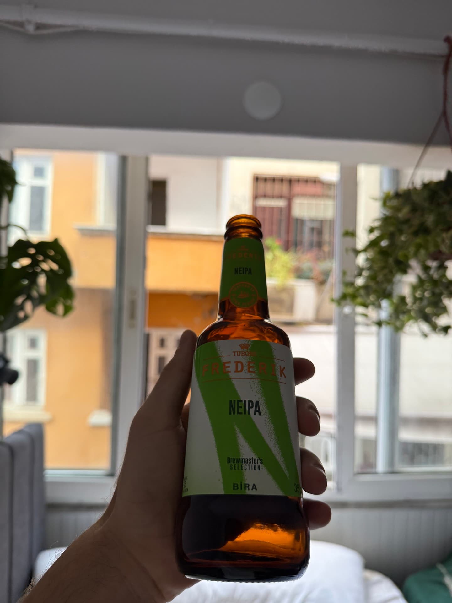 TUBORG FREDERIK NEIPA by Tuborg, shared by @andreaskromann