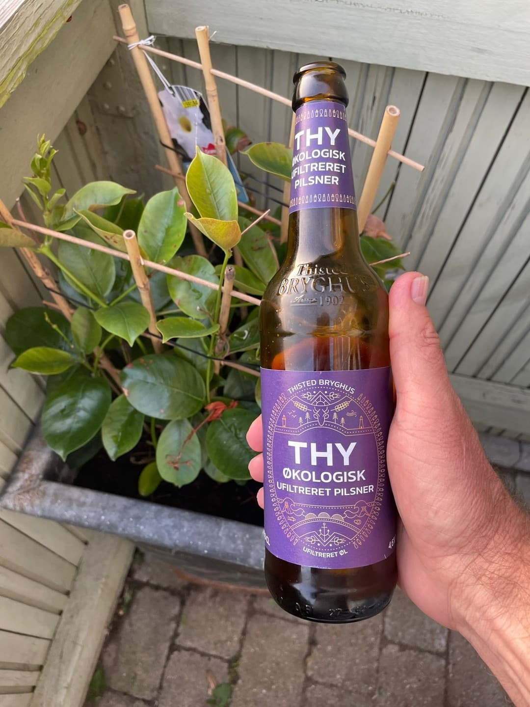 Thy Økologisk Ufiltreret Pilsner from Thisted Bryghus beer photo