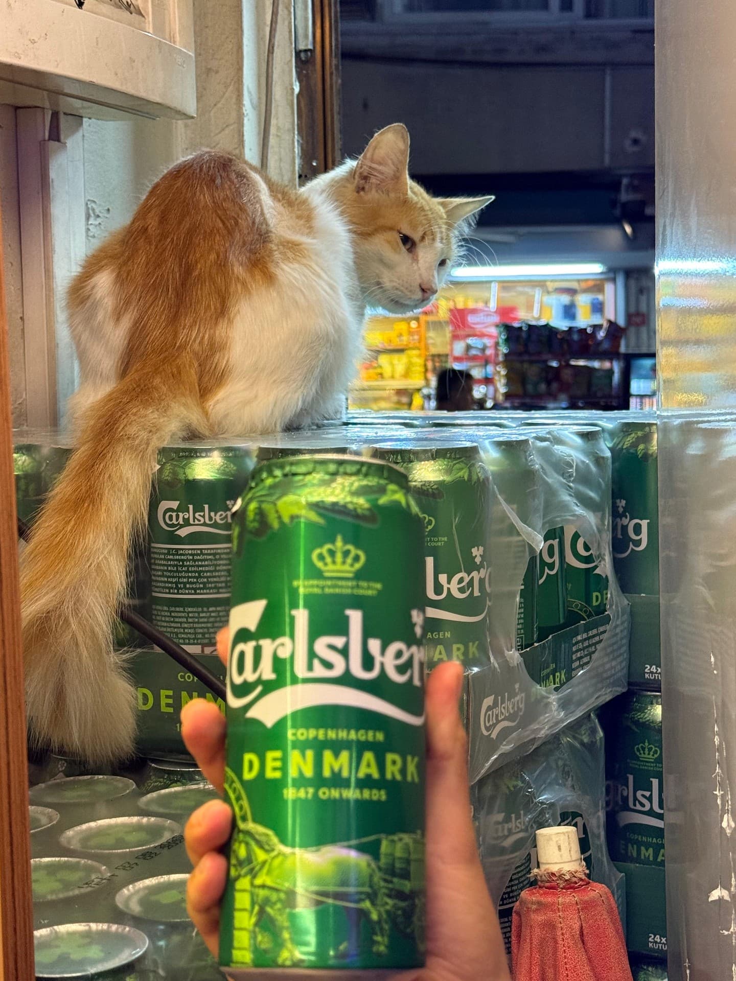 Carlsberg from Carlsberg beer photo