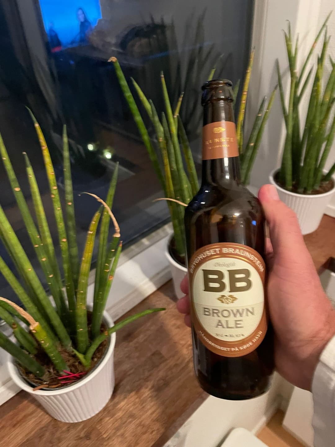 BB Brown Ale from Bryghuset Braunstein beer photo