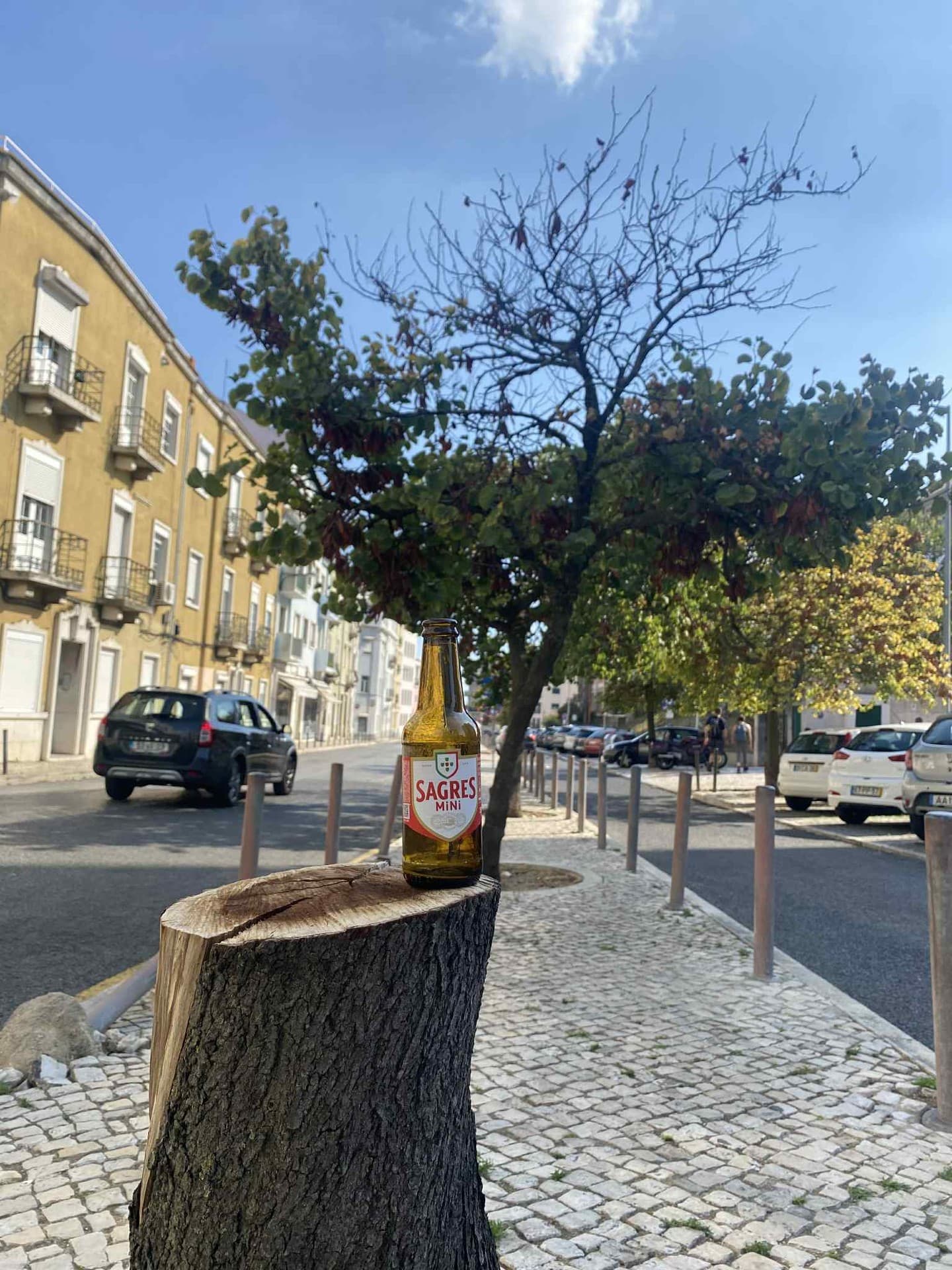 Sagres Mini, shared by @unclaimed