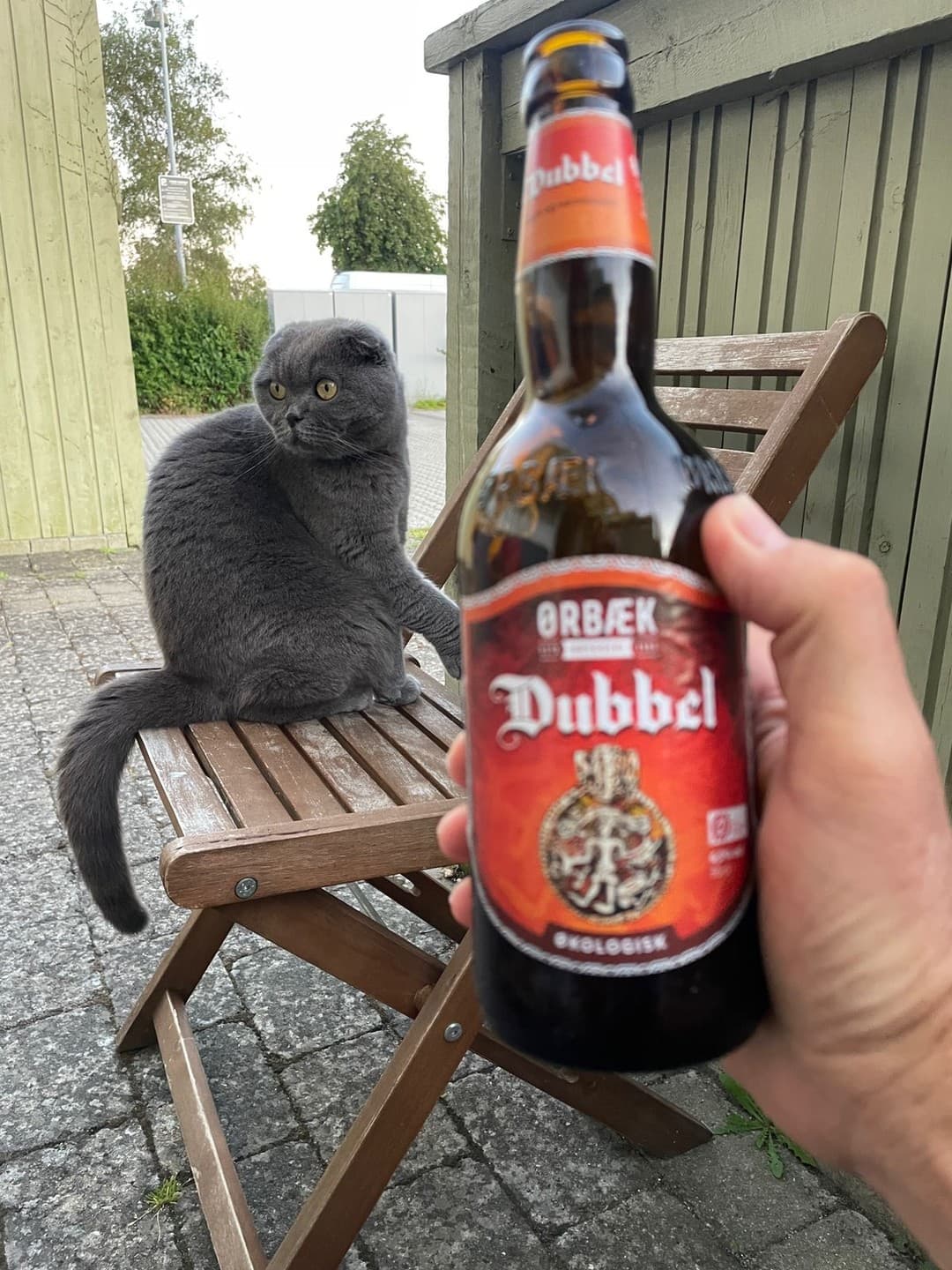 Ørbæk Dubbel from Amazonrivertrip beer photo