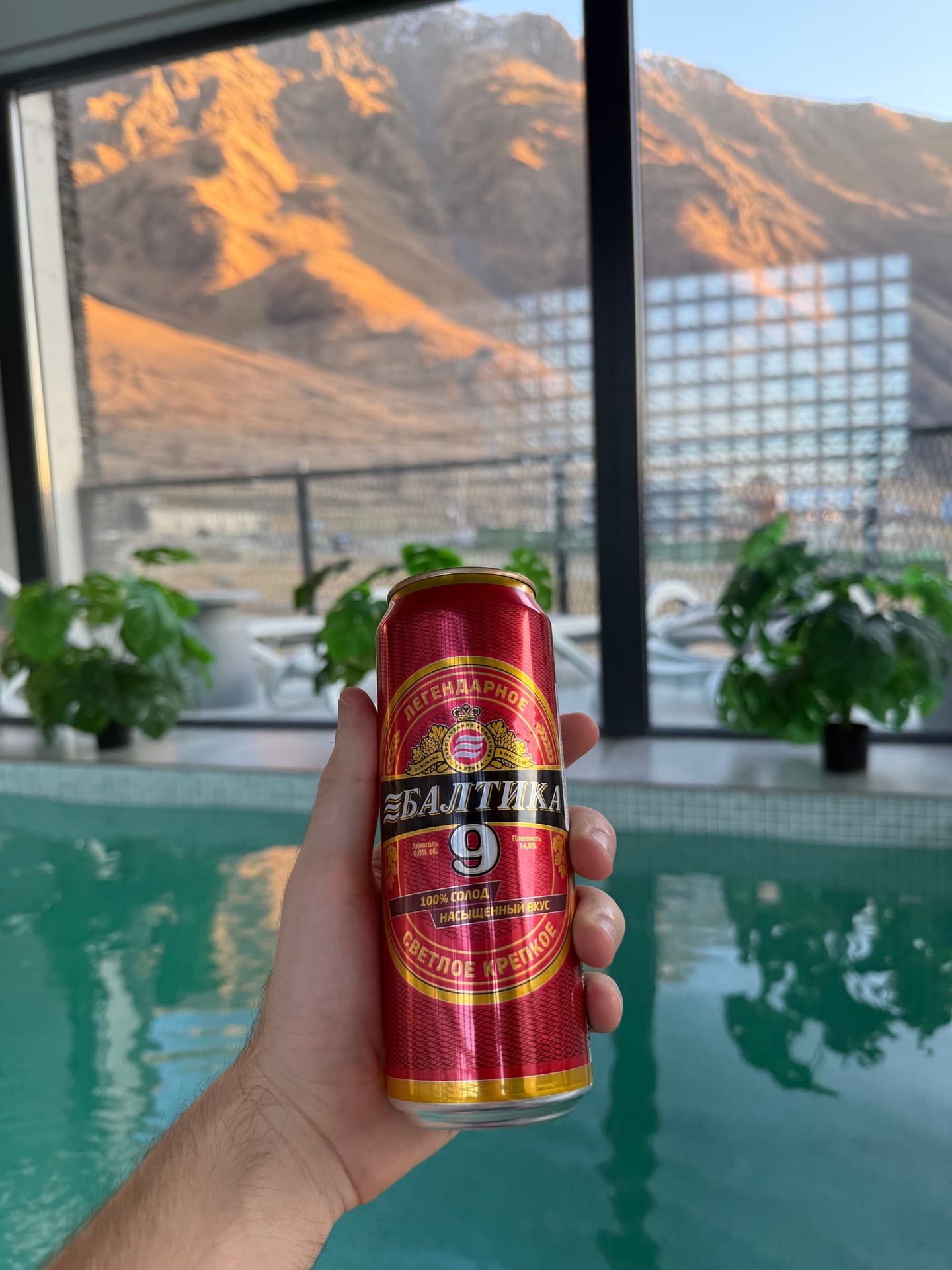Baltika 9 beer photo