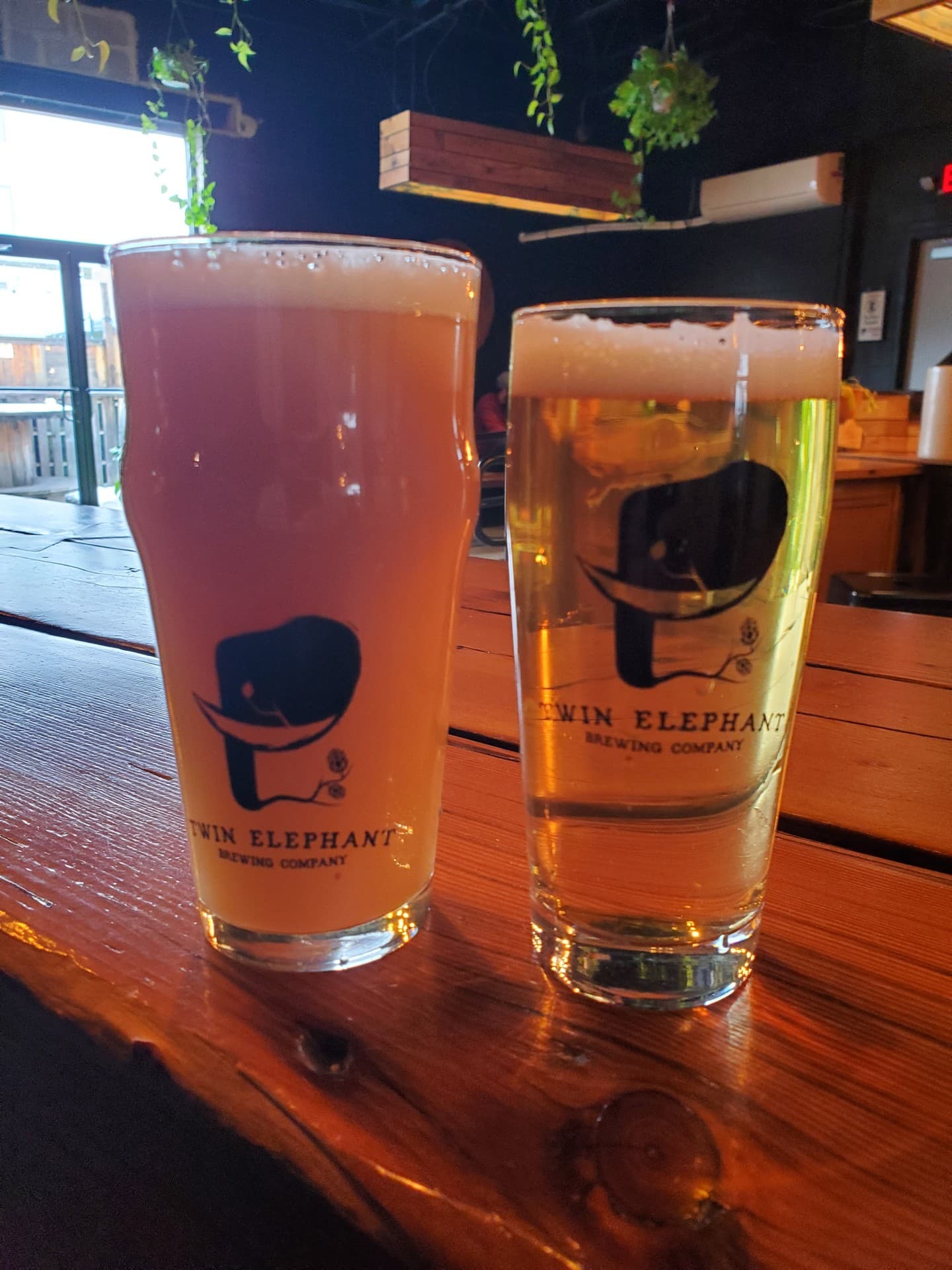 Sounds like a Boss by Twin Elephant Brewing Co., shared by @unclaimed