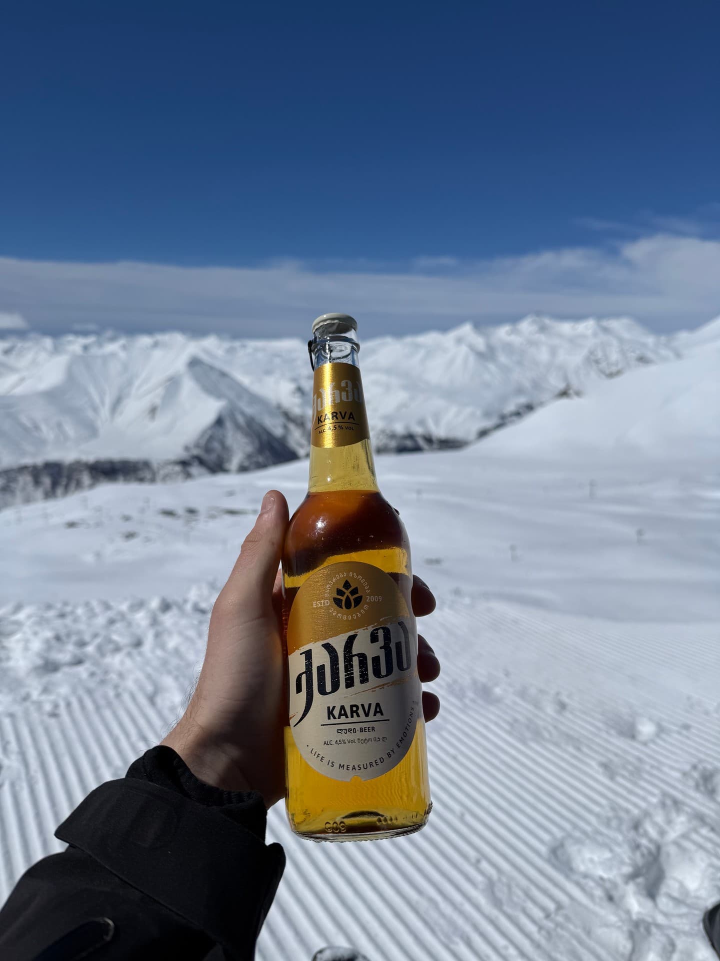 KARVA Light Beer beer photo