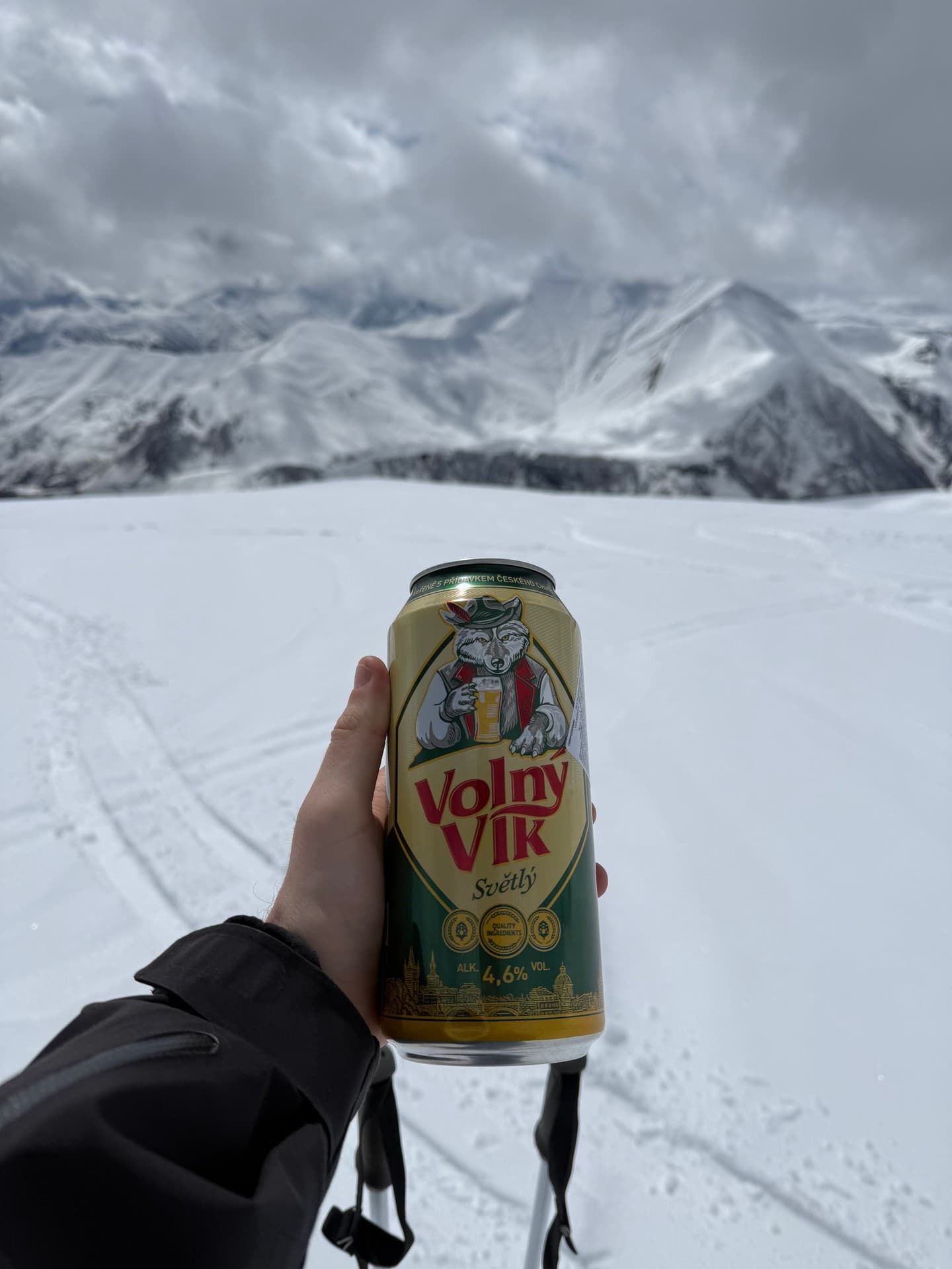 Volný Vík Světlý beer photo