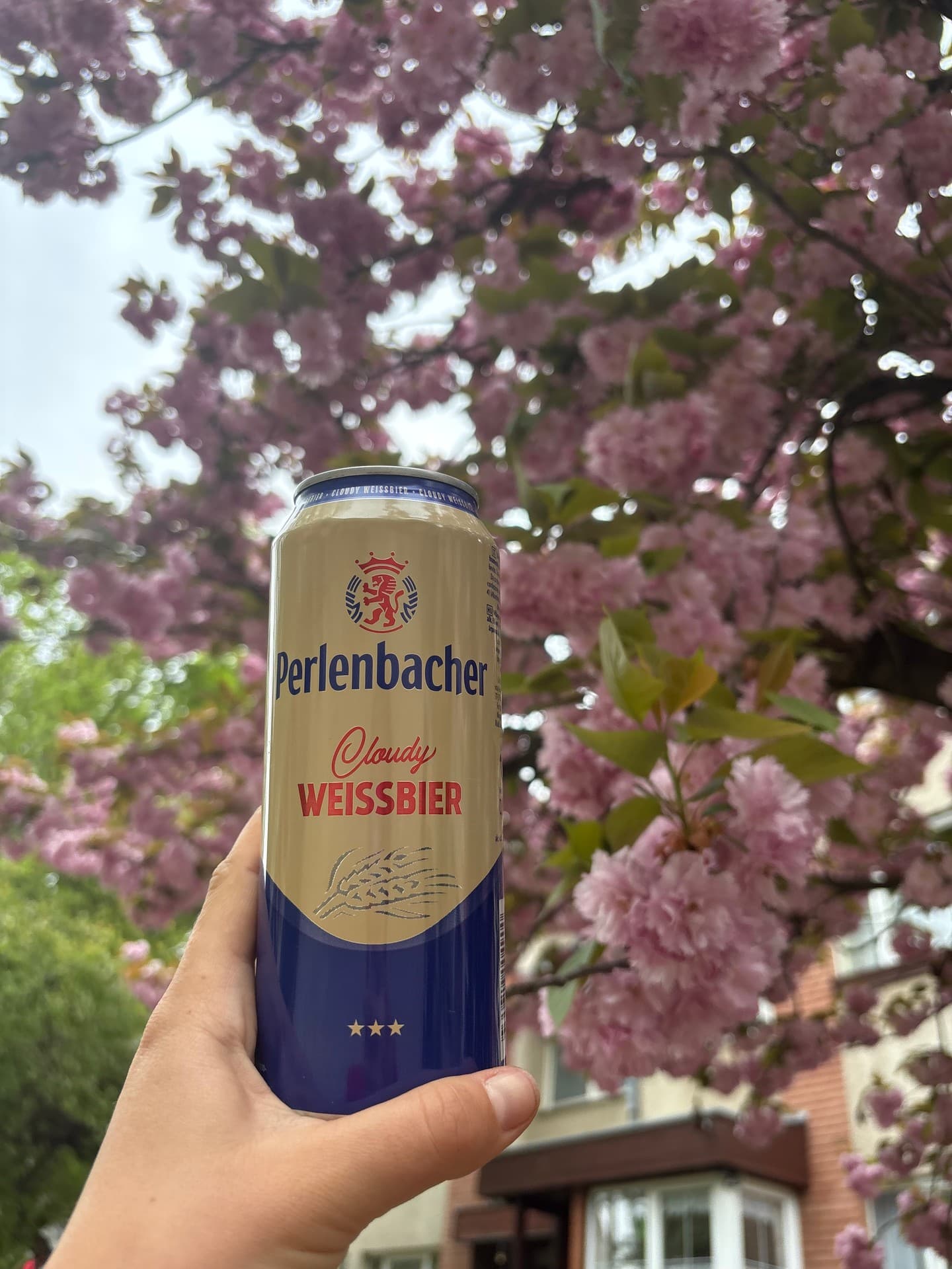 Perlenbacher Cloudy Weissbier from Perlenbacher beer photo
