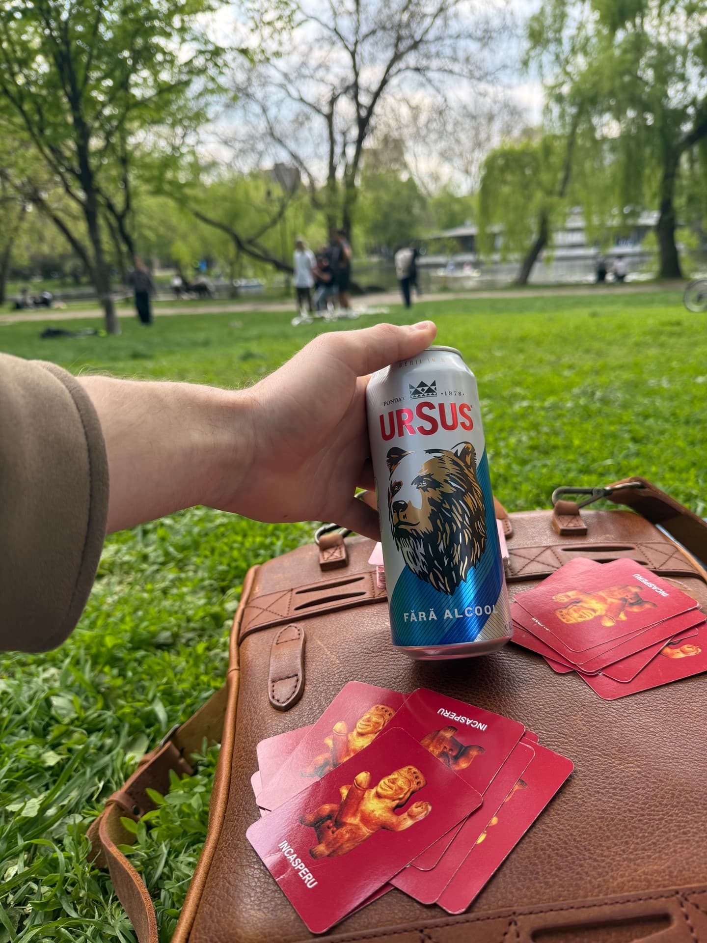 Ursus Fără Alcool beer photo