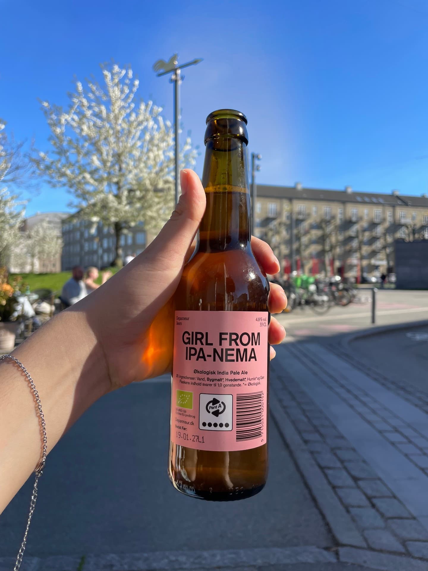 Girl From IPA-Nema beer photo