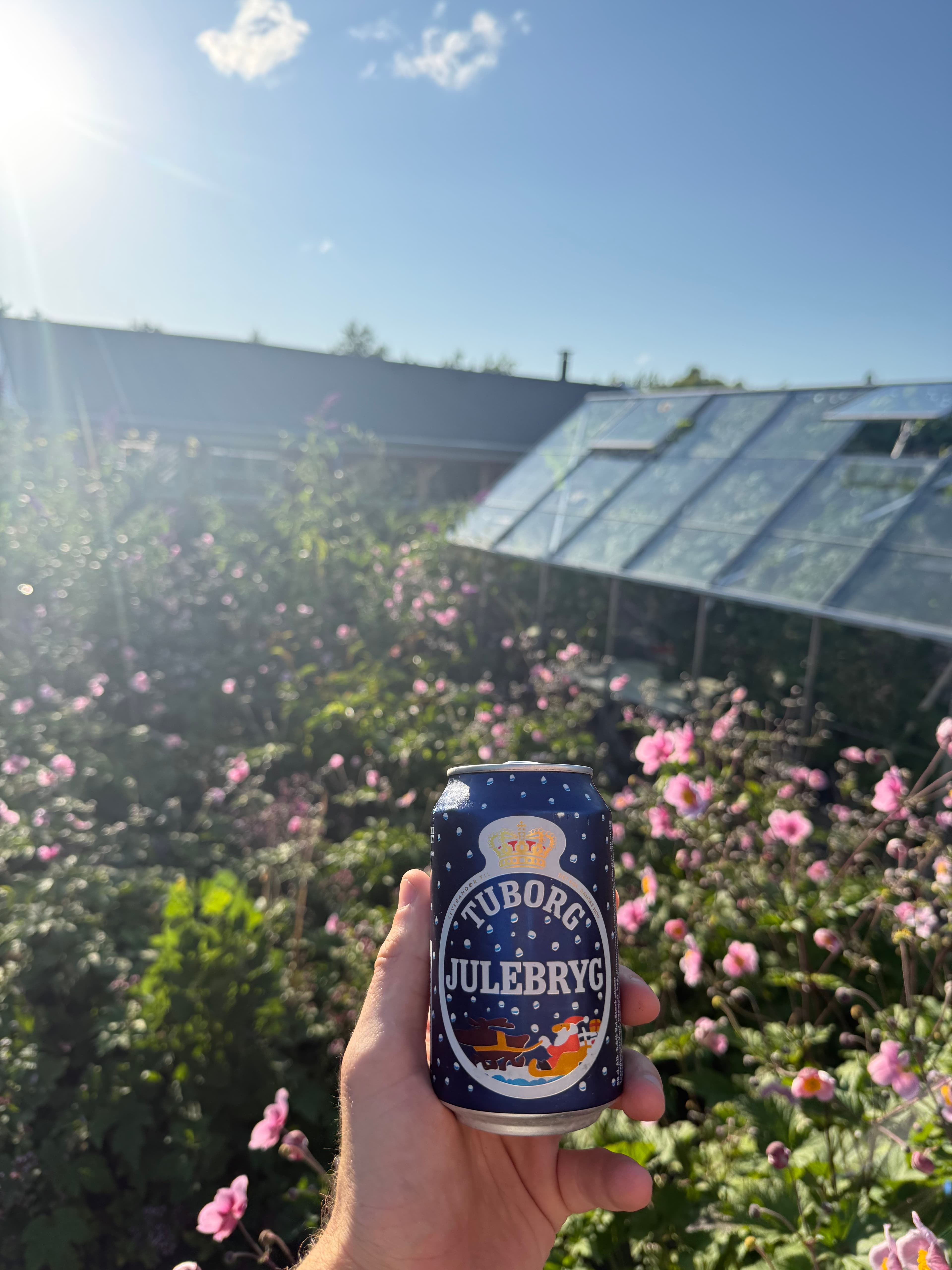 Tuborg Julebryg from Tuborg beer photo