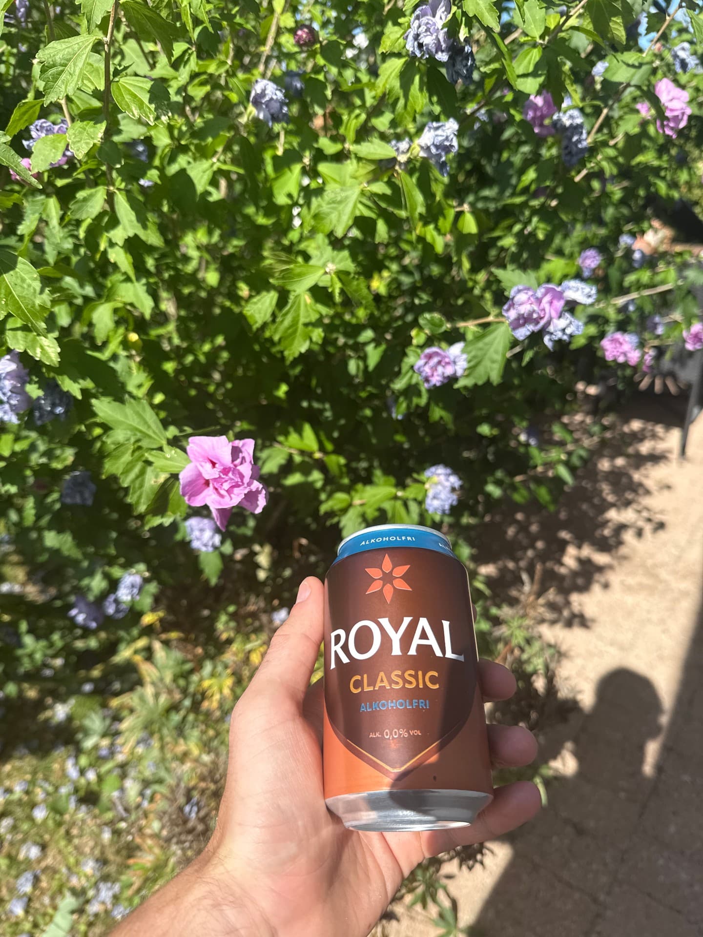 Royal Classic Alkoholfri, shared by @andreaskromann