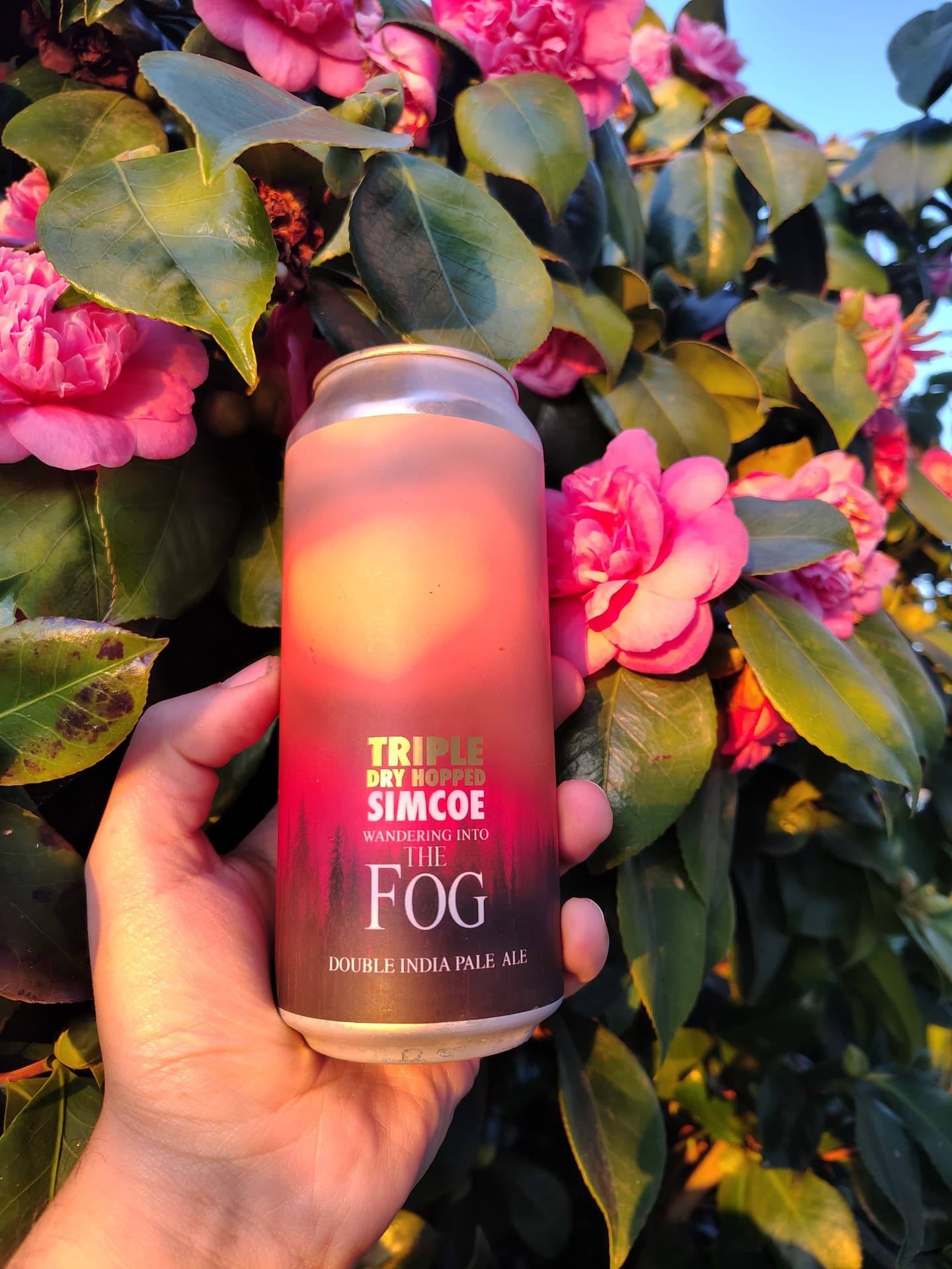Wandering Into the Fog (Triple Dry Hopped Simcoe), shared by @unclaimed