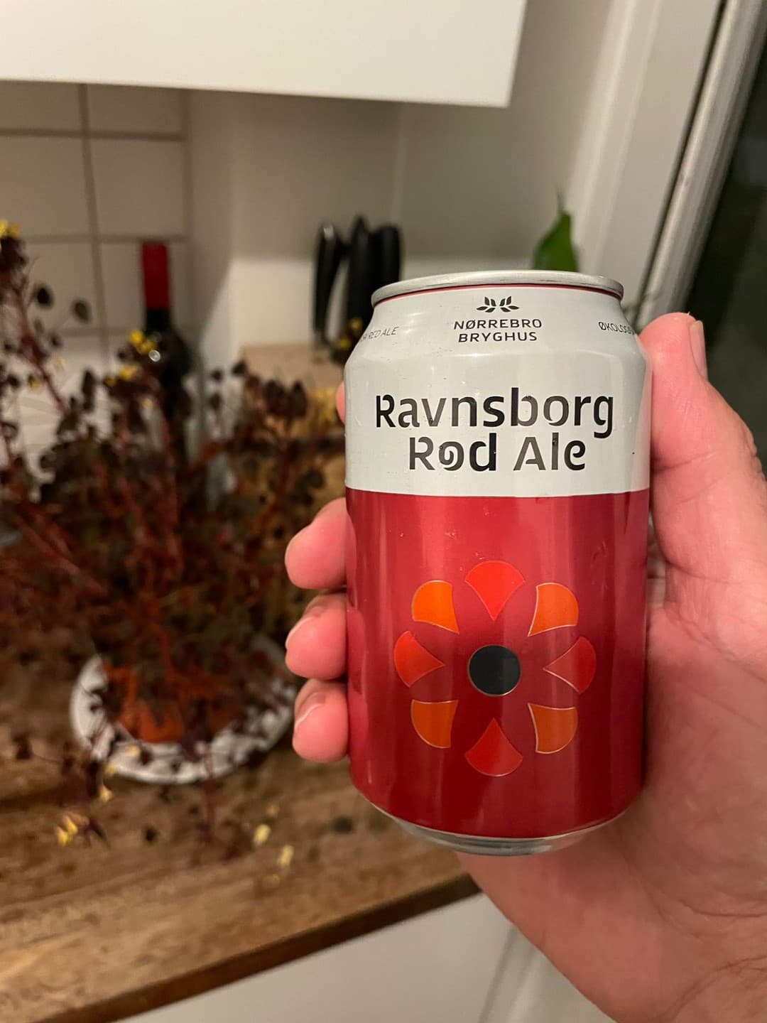 Ravnsborg Rød Ale by Nørrebro Bryghus, shared by @amazonrivertrip