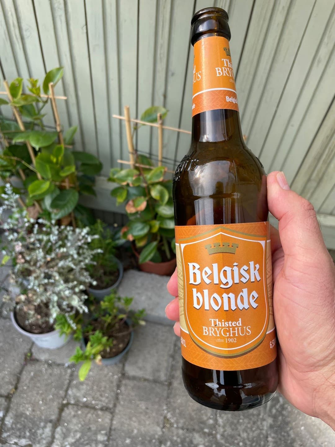 Thisted Bryghus Belgisk Blonde by Thisted Bryghus, shared by @amazonrivertrip