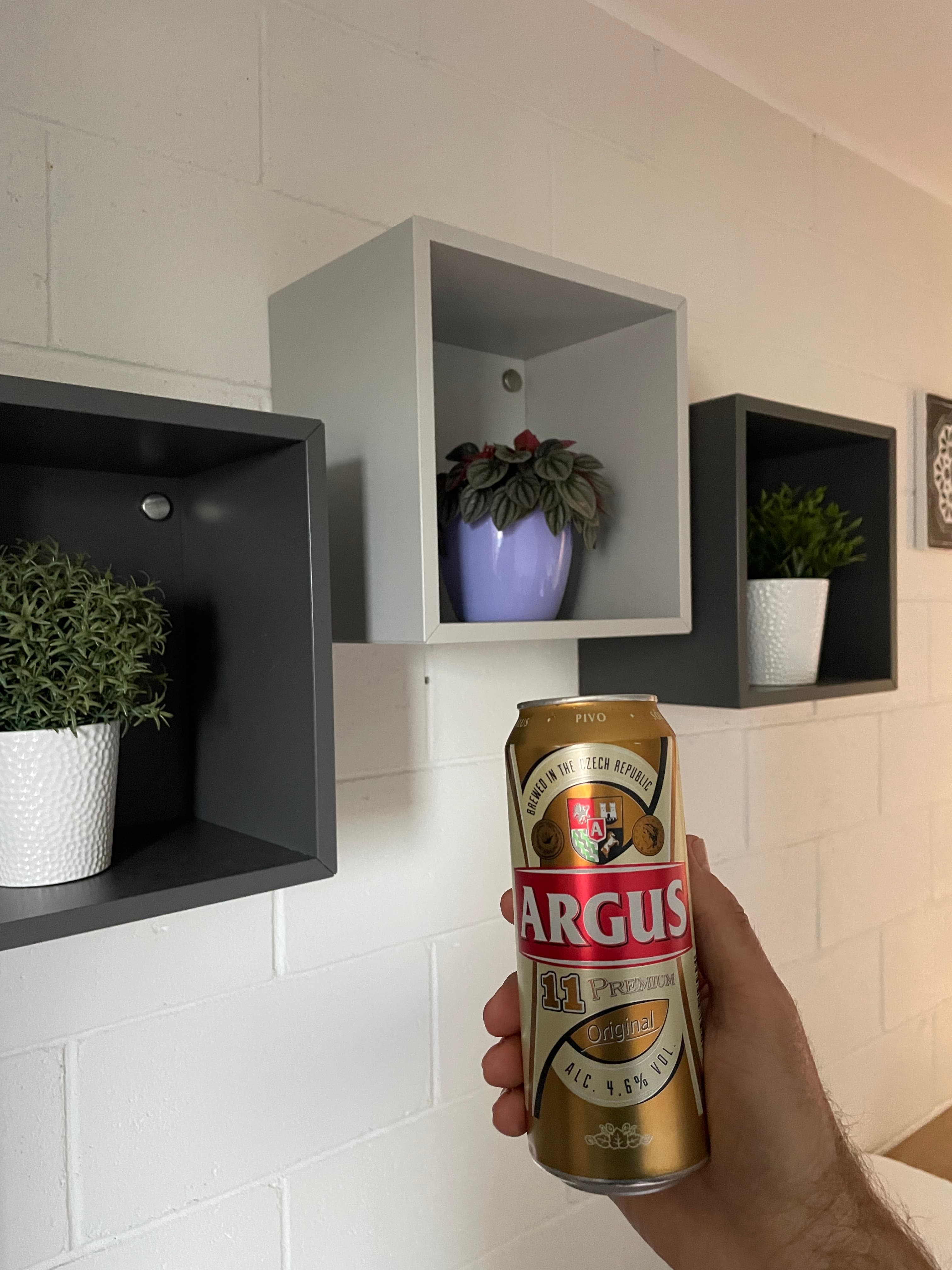 Argus 11 Premium from Unknown Brewery beer photo
